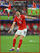 Florian GRILLITSCH - Austria - 2024 European Championship games.