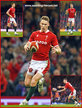 Liam WILLIAMS - Wales - International Rugby Cap.